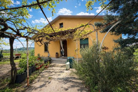 Casa singola in venditaViano